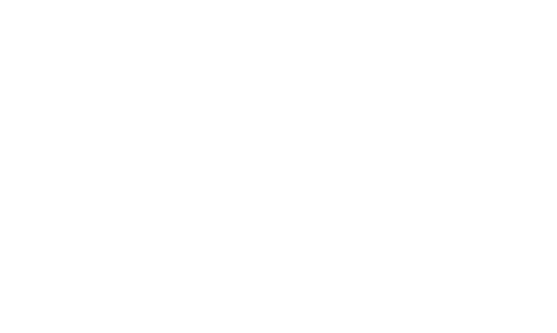 Savske elektrarne